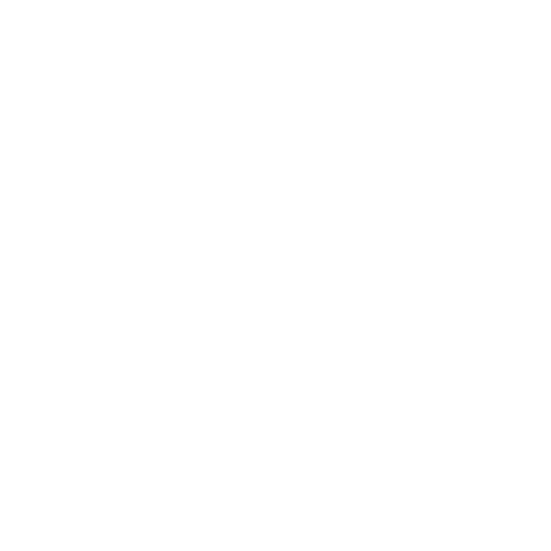 document icon