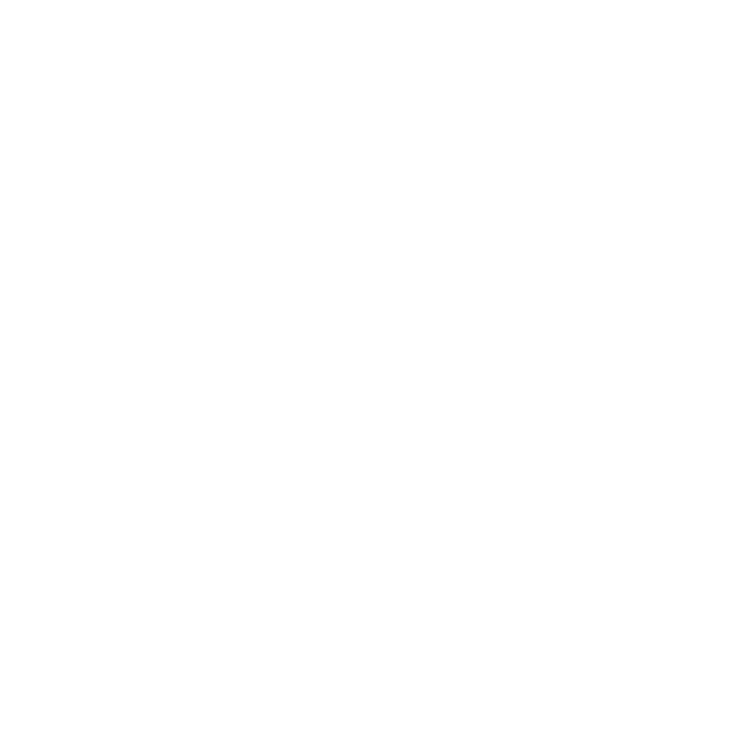 lock icon